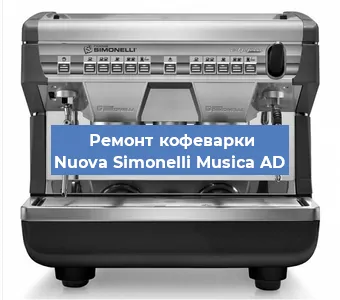 Чистка кофемашины Nuova Simonelli Musica AD от кофейных масел в Красноярске